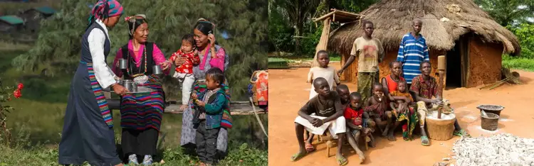 2 families from South America and Africa